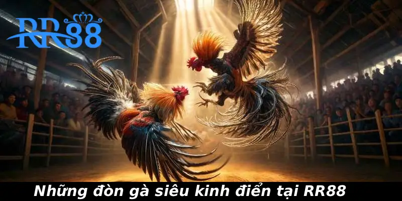 Những đòn gà siêu kinh điển tại RR88